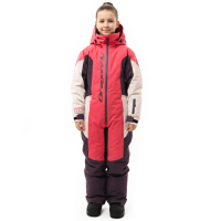 Dragonfly Зимний утепленный комбинезон Gravity Teenager Pink - Plum - Light Grey 2025 в Москве