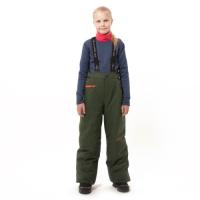 Dragonfly Штаны утепленные Gravity Teenager Dark Khaki Green в Москве